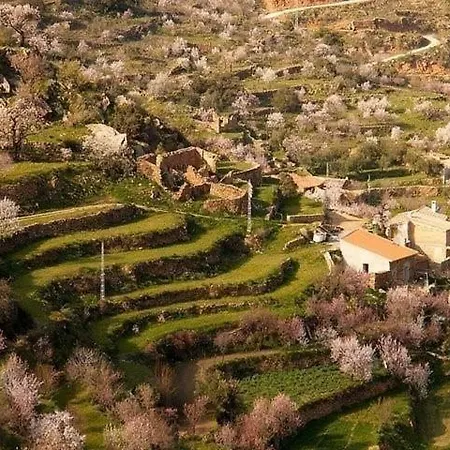 Holiday home Casa Picachico